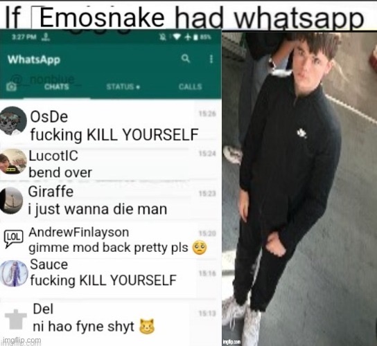 If Emosnake had whatsapp | image tagged in if emosnake had whatsapp | made w/ Imgflip meme maker