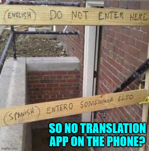 I've heard of pig latin... | SO NO TRANSLATION APP ON THE PHONE? | image tagged in you had one job,translate | made w/ Imgflip meme maker