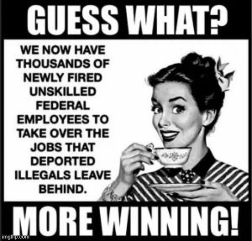 No such thing as 'too much winning'! | image tagged in doge,you're fired,illegal aliens,jobs,deportation | made w/ Imgflip meme maker