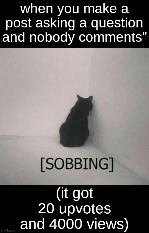 Sobbing cat | when you make a post asking a question and nobody comments"; (it got 20 upvotes and 4000 views) | image tagged in sobbing cat | made w/ Imgflip meme maker