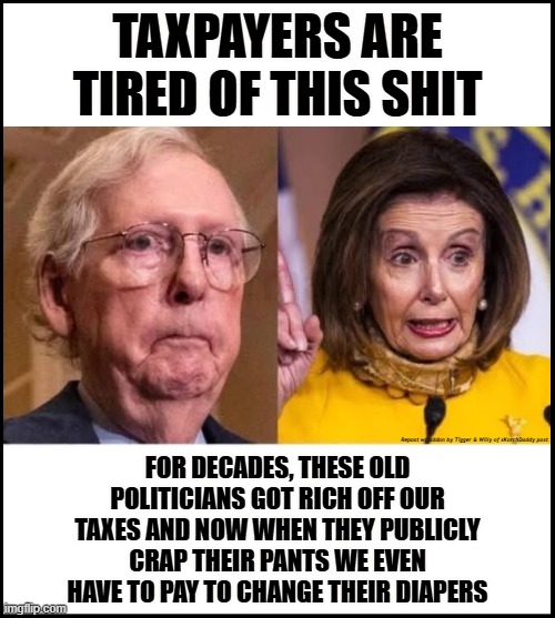 TAXPAYERS ARE TIRED OF THIS SHIT; FOR DECADES, THESE OLD POLITICIANS GOT RICH OFF OUR TAXES AND NOW WHEN THEY PUBLICLY CRAP THEIR PANTS WE EVEN HAVE TO PAY TO CHANGE THEIR DIAPERS; Repost w/ addon by Tigger & Willy of sKorchDaddy post | made w/ Imgflip meme maker