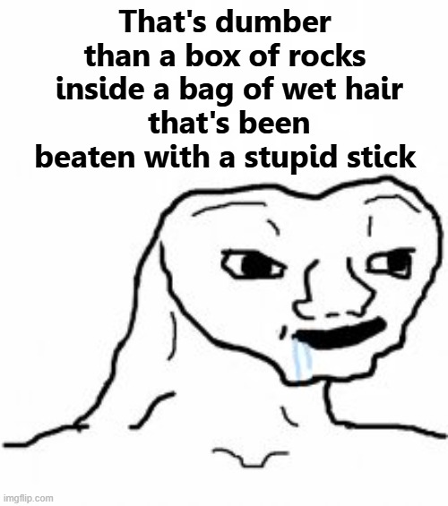 When you hit every branch falling out of the idiot tree | That's dumber than a box of rocks
 inside a bag of wet hair
 that's been beaten with a stupid stick | image tagged in dumb guy,box,hair,stupid | made w/ Imgflip meme maker