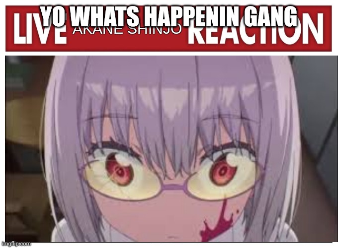 akane shinjo | YO WHATS HAPPENIN GANG | image tagged in akane shinjo | made w/ Imgflip meme maker