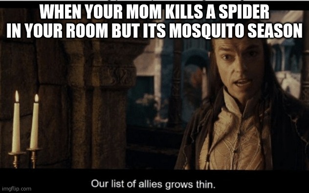 join us to fight against the mosquitoes | WHEN YOUR MOM KILLS A SPIDER IN YOUR ROOM BUT ITS MOSQUITO SEASON | image tagged in our list of allies grows thin,mosquito | made w/ Imgflip meme maker