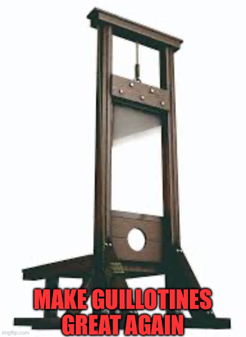 Make guillotines great again , chop off republican heads | MAKE GUILLOTINES GREAT AGAIN | image tagged in donald trump,maga,right wing,elon musk,conservatives,billionaires | made w/ Imgflip meme maker