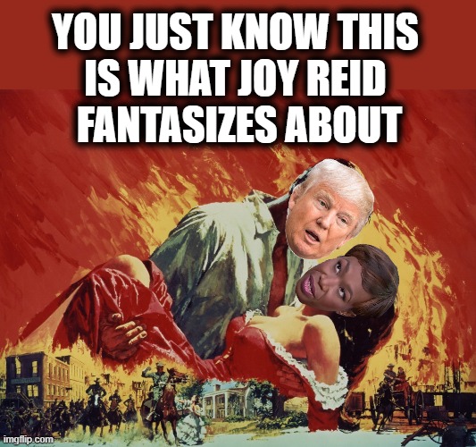 YOU JUST KNOW THIS 
IS WHAT JOY REID 
FANTASIZES ABOUT | image tagged in trump,media,joy reid,fantasy,gone with the wind | made w/ Imgflip meme maker