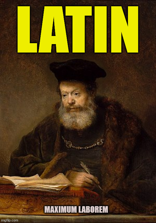 Scholar | LATIN MAXIMUM LABOREM DJ Anomalous | image tagged in scholar | made w/ Imgflip meme maker