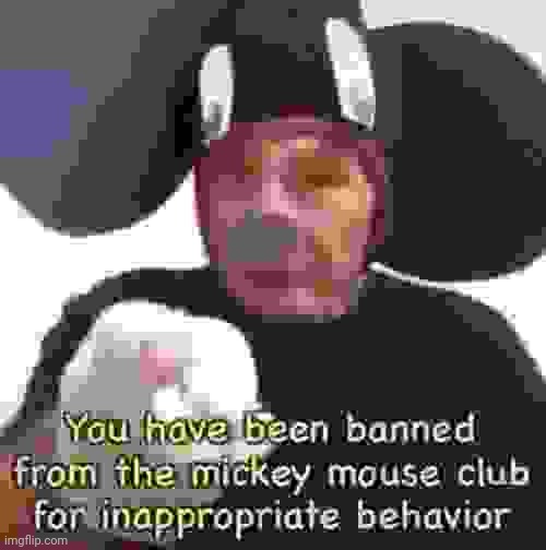 Banned From The Mickey Mouse Club | image tagged in banned from the mickey mouse club | made w/ Imgflip meme maker