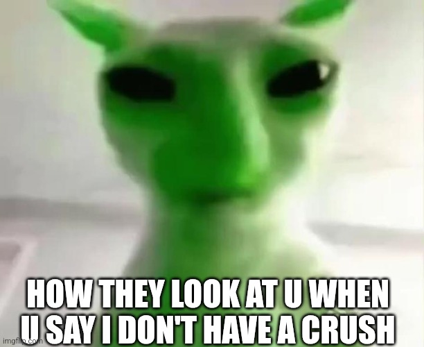 "?Ur lying!" | HOW THEY LOOK AT U WHEN U SAY I DON'T HAVE A CRUSH | image tagged in goofy ahh alien cat | made w/ Imgflip meme maker