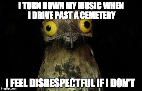 Weird Stuff I Do Potoo | I TURN DOWN MY MUSIC WHEN I DRIVE PAST A CEMETERY I FEEL DISRESPECTFUL IF I DON'T | image tagged in memes,weird stuff i do potoo,AdviceAnimals | made w/ Imgflip meme maker