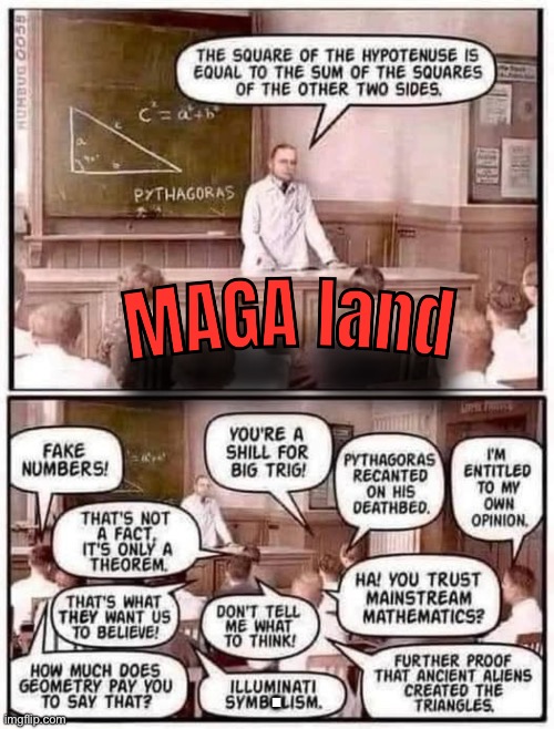 MAGA land | . | image tagged in donald trump,maga,elon musk,republicans,conservatives,right wing | made w/ Imgflip meme maker