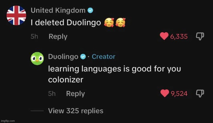 R.I.P. Duo | image tagged in united kingdom,duolingo,deleted,languages,colonizer,oof | made w/ Imgflip meme maker