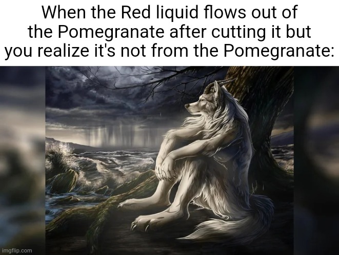 The punchline is for those who know | When the Red liquid flows out of the Pomegranate after cutting it but you realize it's not from the Pomegranate: | image tagged in sigma wolf,dark humor | made w/ Imgflip meme maker