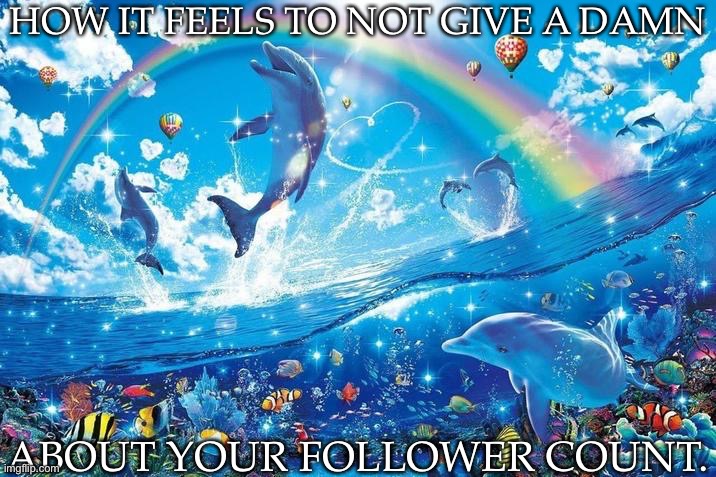 Honestly, It Is Not That Important To Make A Competition Out Of | HOW IT FEELS TO NOT GIVE A DAMN; ABOUT YOUR FOLLOWER COUNT. | image tagged in happy dolphin rainbow,posting this in spite,and people think im bad,not nearly as bad as some,not that im gonna list names | made w/ Imgflip meme maker