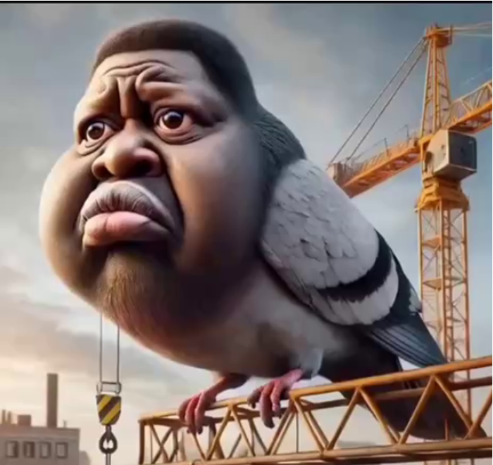 LeBonbon bird Blank Meme Template