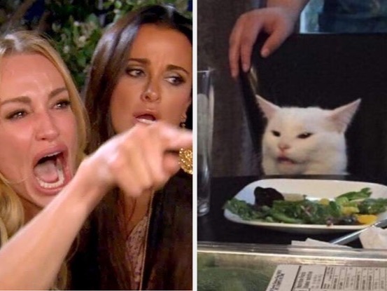 High Quality Woman Yelling At Cat Blank Meme Template