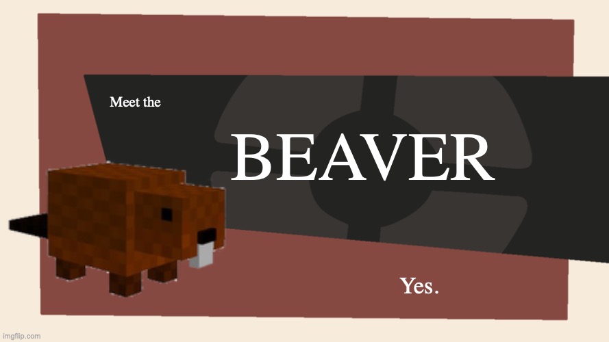 Meet the <Blank> | Meet the BEAVER Yes. | image tagged in meet the blank | made w/ Imgflip meme maker