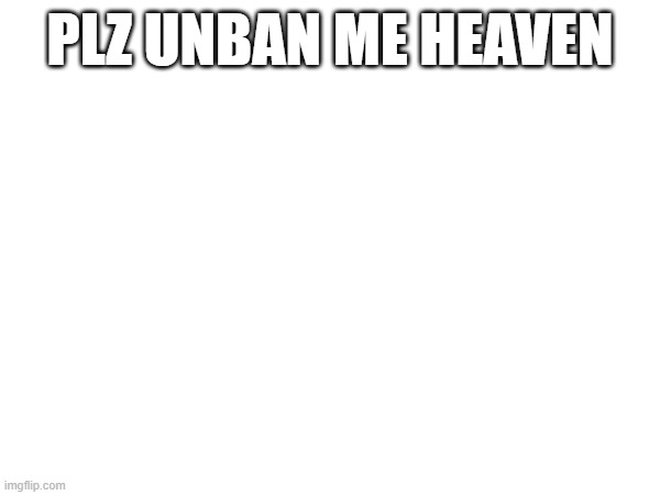 plz unban me | PLZ UNBAN ME HEAVEN | image tagged in memes | made w/ Imgflip meme maker