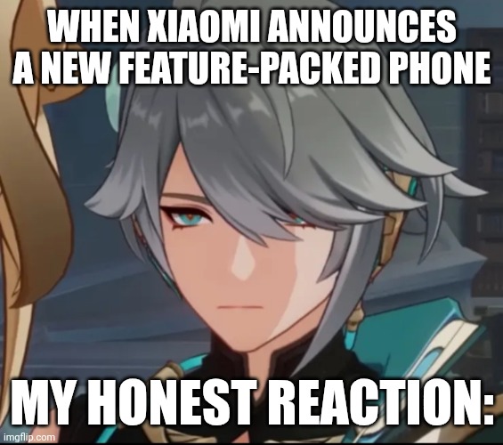 My Honest Reaction Meme Xiaomi | WHEN XIAOMI ANNOUNCES A NEW FEATURE-PACKED PHONE; MY HONEST REACTION: | image tagged in my honest reaction allhaitham edition,memes,funny,xiaomi | made w/ Imgflip meme maker