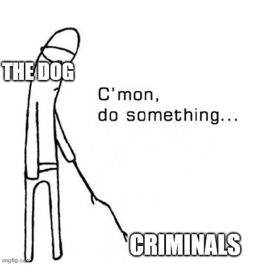 THE DOG CRIMINALS | image tagged in cmon do something | made w/ Imgflip meme maker