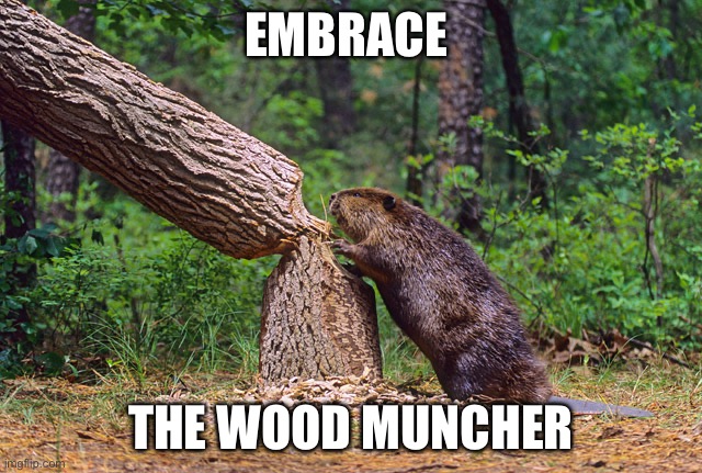 EMBRACE THE WOOD MUNCHER | image tagged in beaver | made w/ Imgflip meme maker