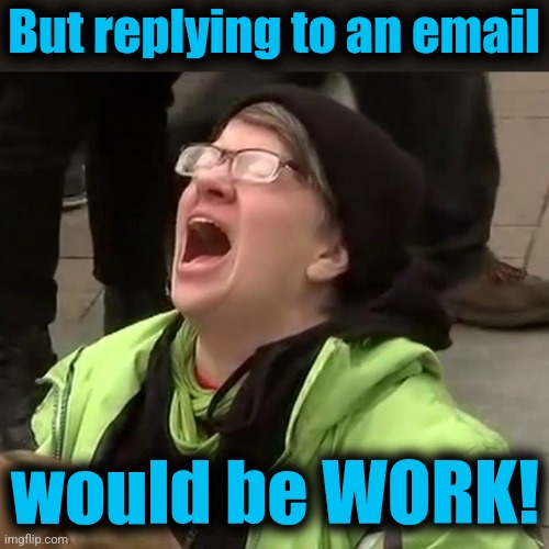 Crying liberal | But replying to an email would be WORK! | image tagged in crying liberal | made w/ Imgflip meme maker