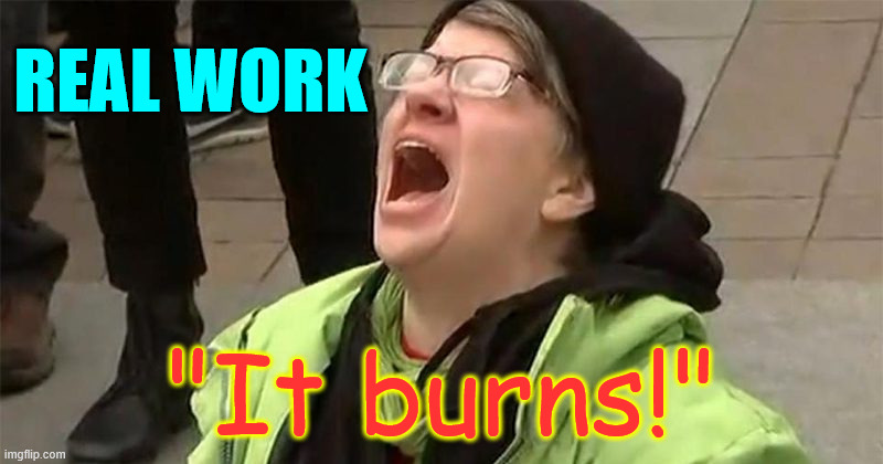 crying liberal | REAL WORK "It burns!" | image tagged in crying liberal | made w/ Imgflip meme maker