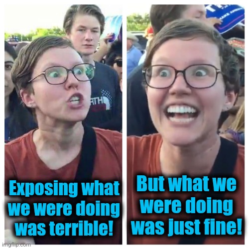 Social Justice Warrior Hypocrisy | Exposing what
we were doing
was terrible! But what we
were doing
was just fine! | image tagged in social justice warrior hypocrisy | made w/ Imgflip meme maker