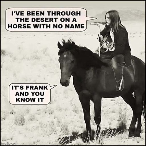 I Know It's An Oldie But It Still Makes Me Smile ! | image tagged in america,horse,name,song lyrics | made w/ Imgflip meme maker