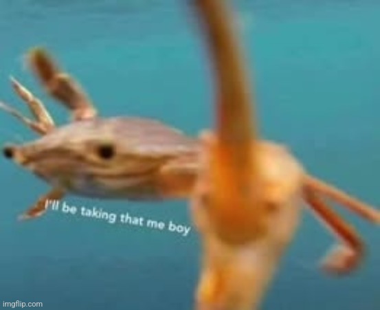 I'll be taking that me boy | image tagged in i'll be taking that me boy | made w/ Imgflip meme maker