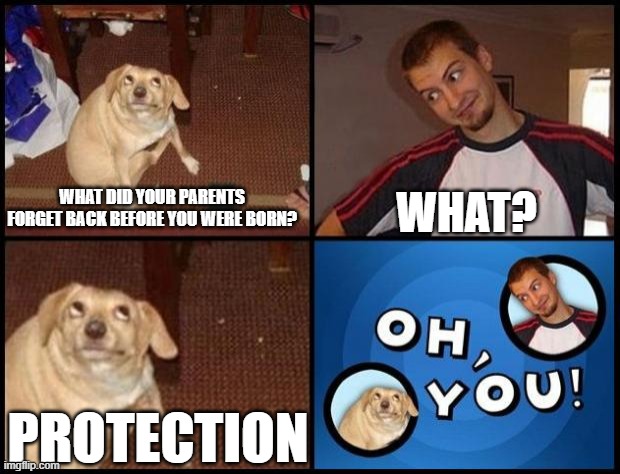 insert creative title here | WHAT? WHAT DID YOUR PARENTS FORGET BACK BEFORE YOU WERE BORN? PROTECTION | image tagged in oh you | made w/ Imgflip meme maker