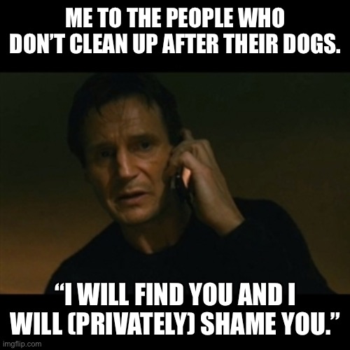 Liam Neeson Taken | ME TO THE PEOPLE WHO DON’T CLEAN UP AFTER THEIR DOGS. “I WILL FIND YOU AND I WILL (PRIVATELY) SHAME YOU.” | image tagged in memes,liam neeson taken,dog poop,clean up,respect,neighbors | made w/ Imgflip meme maker