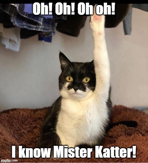 Sweathog cat | Oh! Oh! Oh oh! I know Mister Katter! | image tagged in memes,cats,tv shows | made w/ Imgflip meme maker