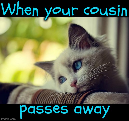 C-Ya On The Other Side Tammy Lee | When your cousin; passes away | image tagged in memes,first world problems cat,cousin,life and death,i love you this much,you've got a friend in me | made w/ Imgflip meme maker