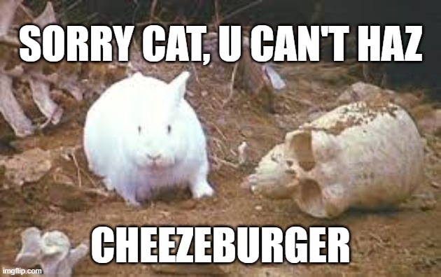 Holy Grail Rabbit | SORRY CAT, U CAN'T HAZ; CHEEZEBURGER | image tagged in holy grail rabbit | made w/ Imgflip meme maker