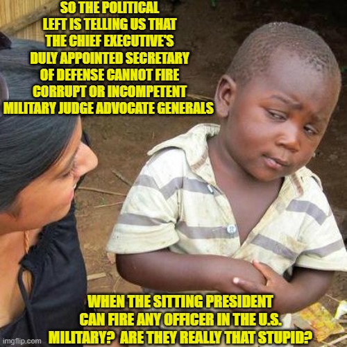 Why yes.  Apparently, yes they are just exactly that stupid. | SO THE POLITICAL LEFT IS TELLING US THAT THE CHIEF EXECUTIVE'S DULY APPOINTED SECRETARY OF DEFENSE CANNOT FIRE CORRUPT OR INCOMPETENT MILITARY JUDGE ADVOCATE GENERALS; WHEN THE SITTING PRESIDENT CAN FIRE ANY OFFICER IN THE U.S. MILITARY?  ARE THEY REALLY THAT STUPID? | image tagged in third world skeptical kid | made w/ Imgflip meme maker