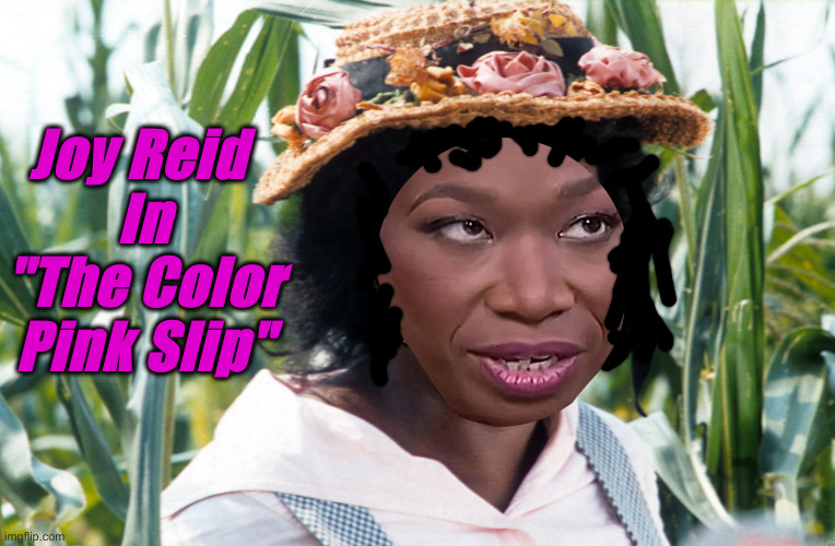 Shoulda Gone To The Beach, Beach ! | Joy Reid 
In
"The Color Pink Slip" | image tagged in all my life i had to fight,political meme,politics,funny memes,funny | made w/ Imgflip meme maker