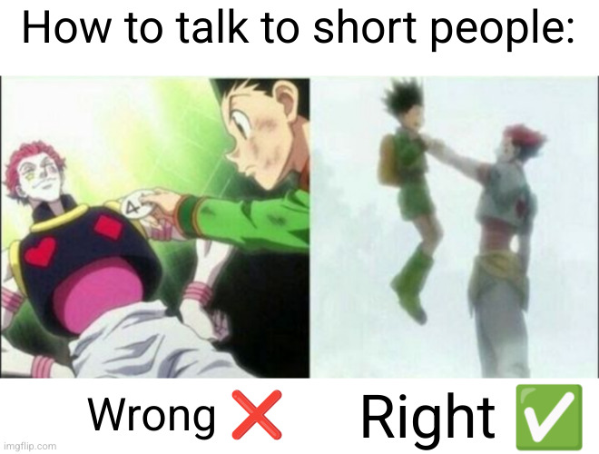 gotta make sure to be level with them to show respect | How to talk to short people:; Wrong ❌; Right ✅ | image tagged in funny,hunter x hunter,hxh,anime,short people,hisoka | made w/ Imgflip meme maker