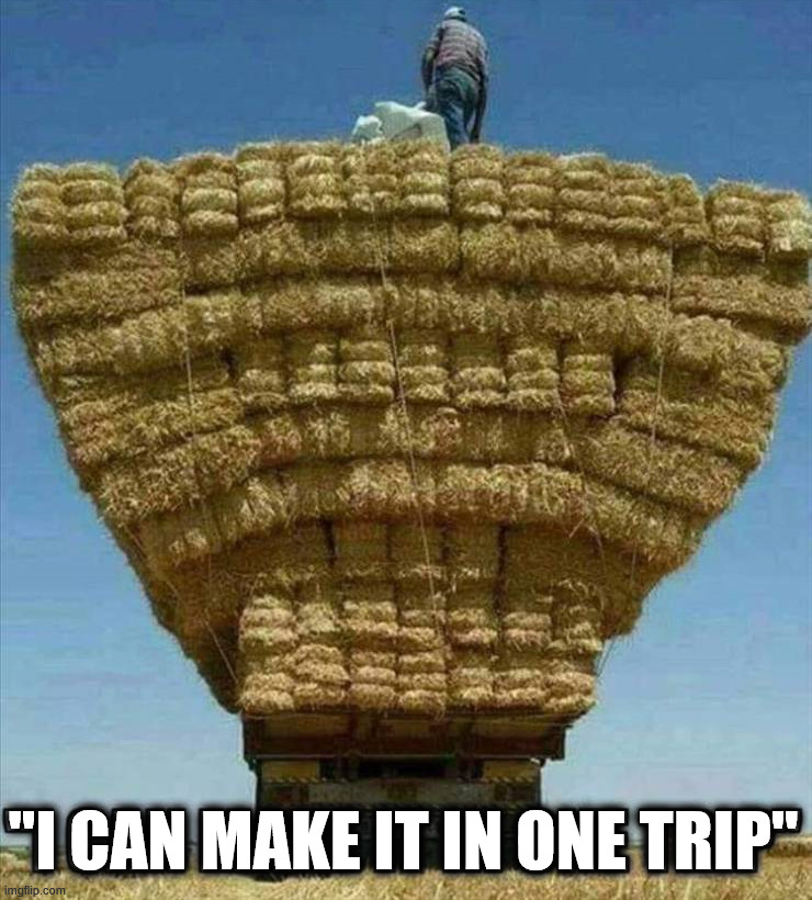 Every guy is like .... | "I CAN MAKE IT IN ONE TRIP" | image tagged in one trip | made w/ Imgflip meme maker