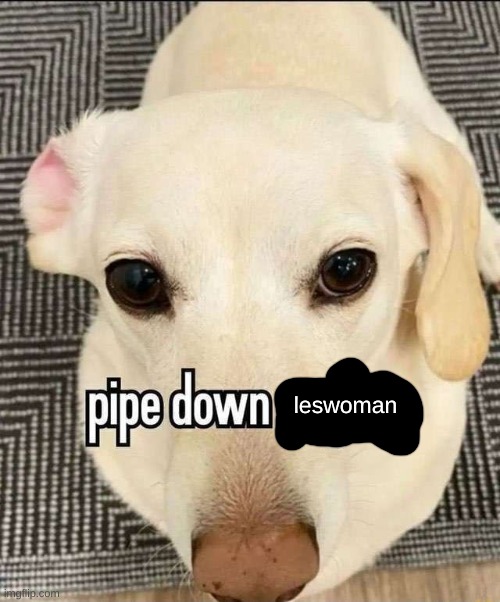 Pipe down gayboy | leswoman | image tagged in pipe down gayboy | made w/ Imgflip meme maker