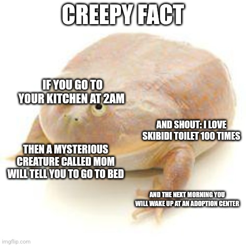 Creepy fact!!! | CREEPY FACT; IF YOU GO TO YOUR KITCHEN AT 2AM; AND SHOUT: I LOVE SKIBIDI TOILET 100 TIMES; THEN A MYSTERIOUS CREATURE CALLED MOM WILL TELL YOU TO GO TO BED; AND THE NEXT MORNING YOU WILL WAKE UP AT AN ADOPTION CENTER | image tagged in wednesday frog blank | made w/ Imgflip meme maker