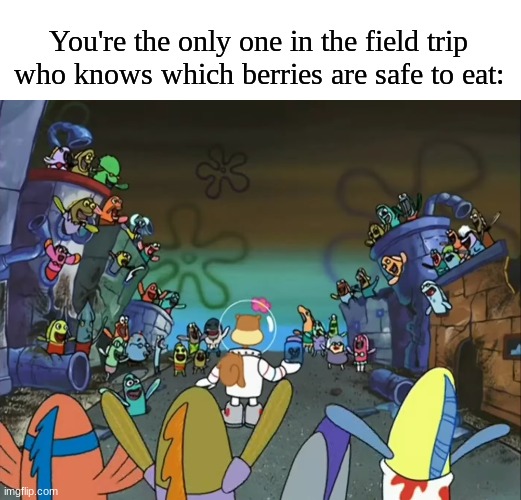 What would they do without me? | You're the only one in the field trip who knows which berries are safe to eat: | image tagged in memes,funny,spongebob,help | made w/ Imgflip meme maker