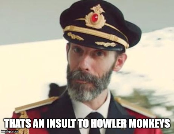 Captain Obvious | THATS AN INSULT TO HOWLER MONKEYS | image tagged in captain obvious | made w/ Imgflip meme maker