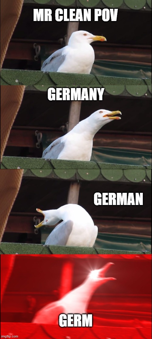 Inhaling Seagull | MR CLEAN POV; GERMANY; GERMAN; GERM | image tagged in memes,inhaling seagull | made w/ Imgflip meme maker