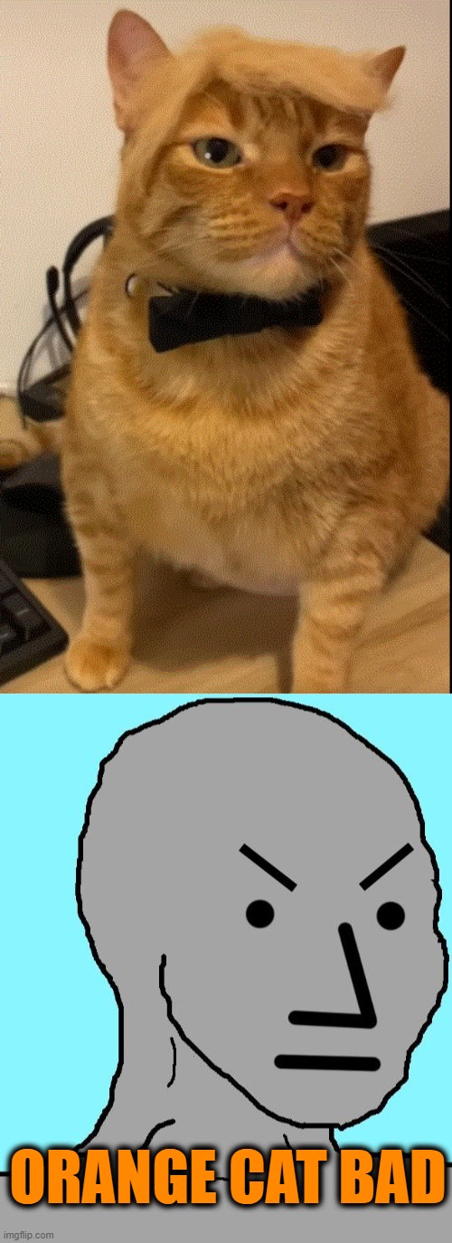 orange cat | ORANGE CAT BAD | image tagged in npc meme angry | made w/ Imgflip meme maker