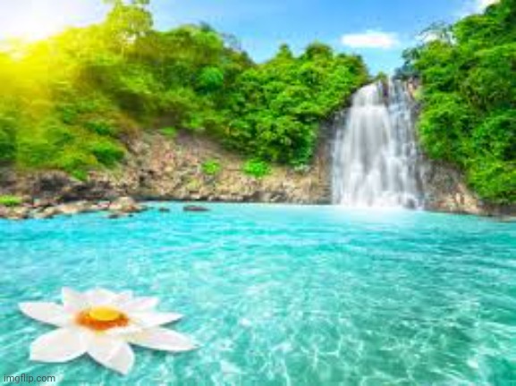 paradise | image tagged in paradise | made w/ Imgflip meme maker