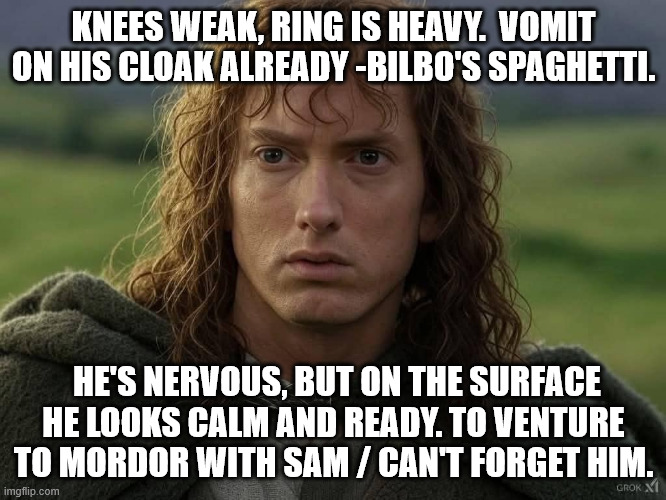 The Slim Baggins | KNEES WEAK, RING IS HEAVY.  VOMIT ON HIS CLOAK ALREADY -BILBO'S SPAGHETTI. HE'S NERVOUS, BUT ON THE SURFACE HE LOOKS CALM AND READY. TO VENTURE TO MORDOR WITH SAM / CAN'T FORGET HIM. | image tagged in eminem,lord of the rings,frodo,middle earth | made w/ Imgflip meme maker