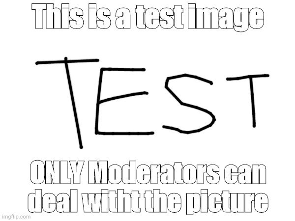 ONLY moderstor can deal witht the picture | This is a test image; ONLY Moderators can deal witht the picture | image tagged in test | made w/ Imgflip meme maker