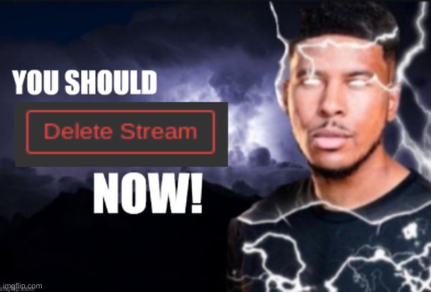 you should delete stream now | image tagged in you should delete stream now | made w/ Imgflip meme maker