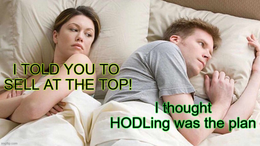 I Bet He's Thinking About Other Women | I TOLD YOU TO 
SELL AT THE TOP! I thought HODLing was the plan | image tagged in memes,i bet he's thinking about other women | made w/ Imgflip meme maker